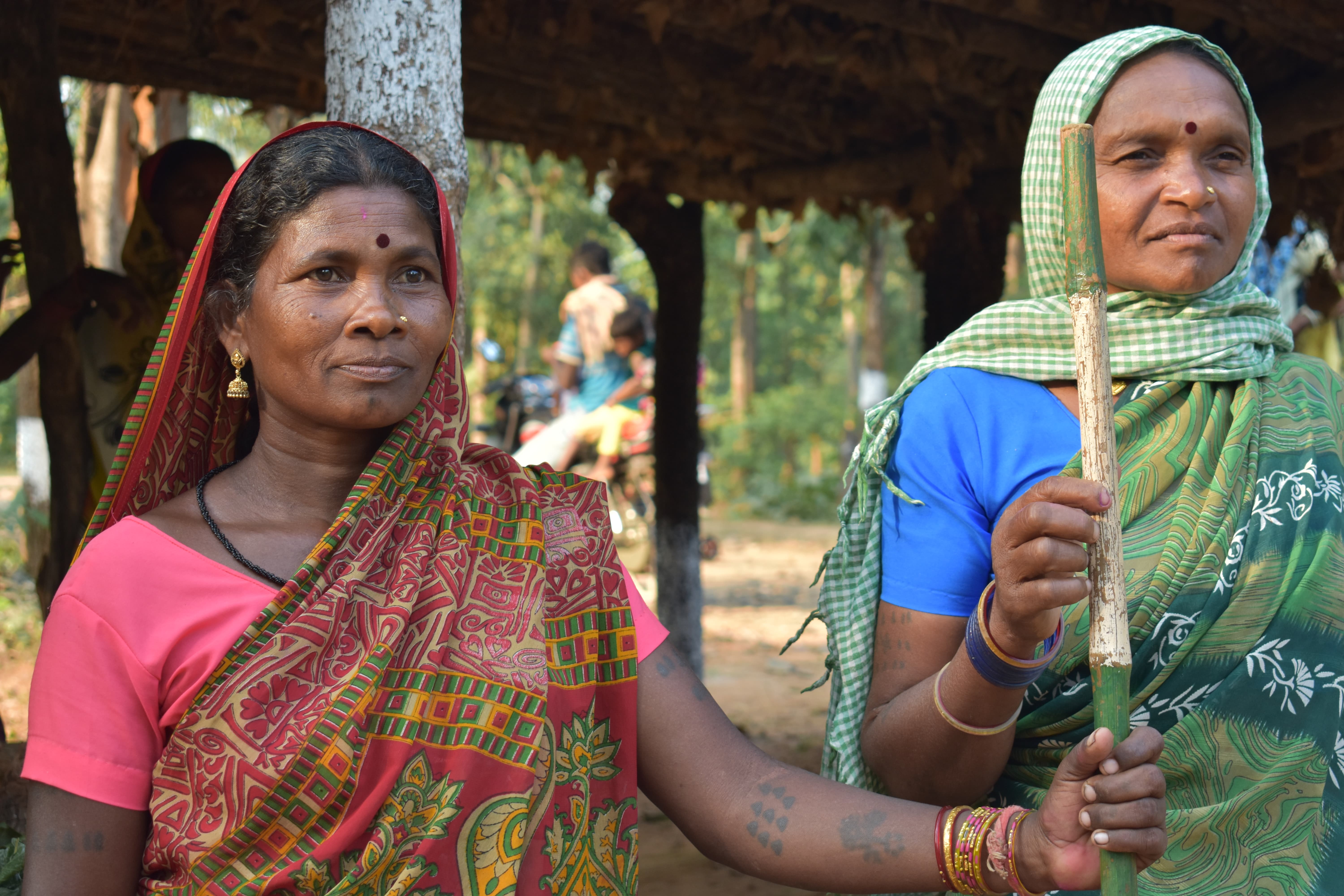 Villagers protect the forest through regular patrols